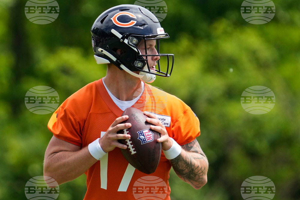 Bears Football