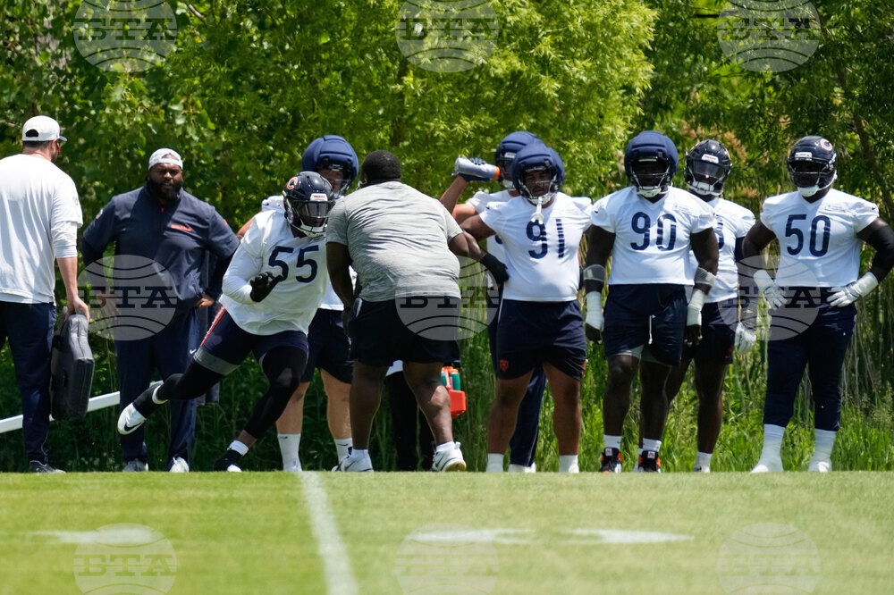 Bears Football