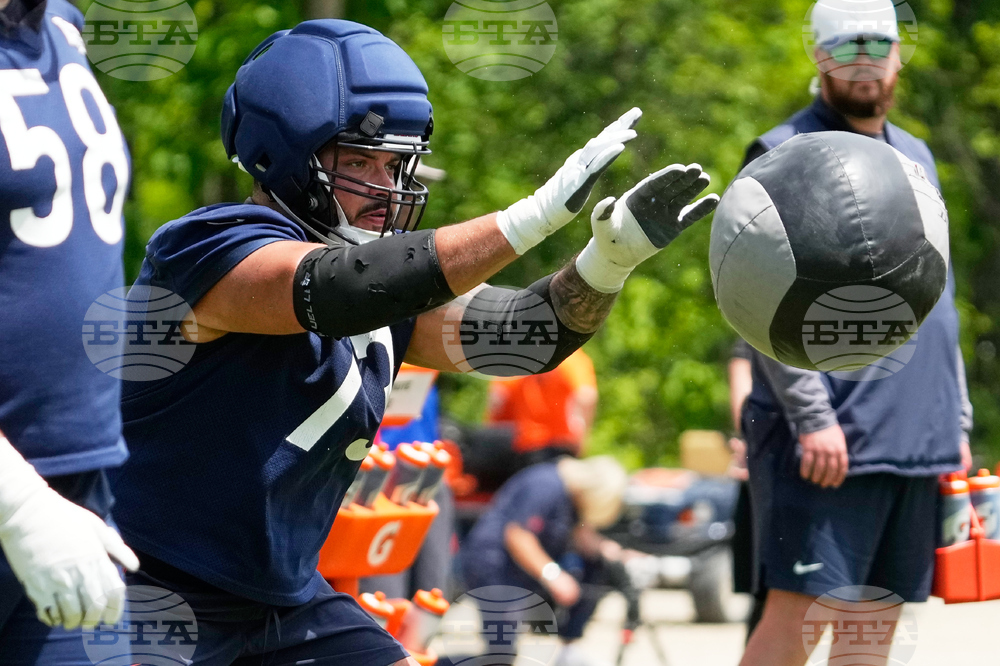Bears Football