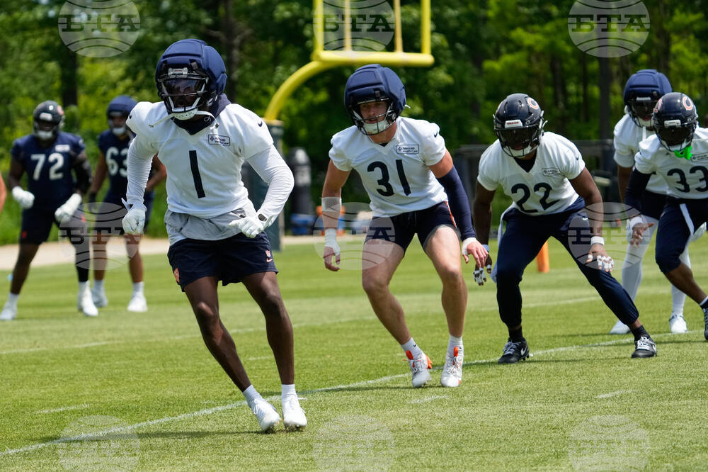 Bears Football