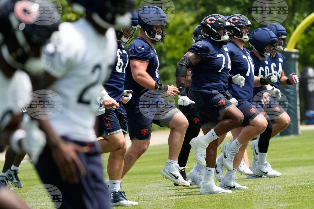 Bears Football