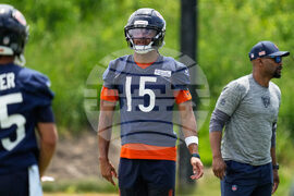 Bears Football