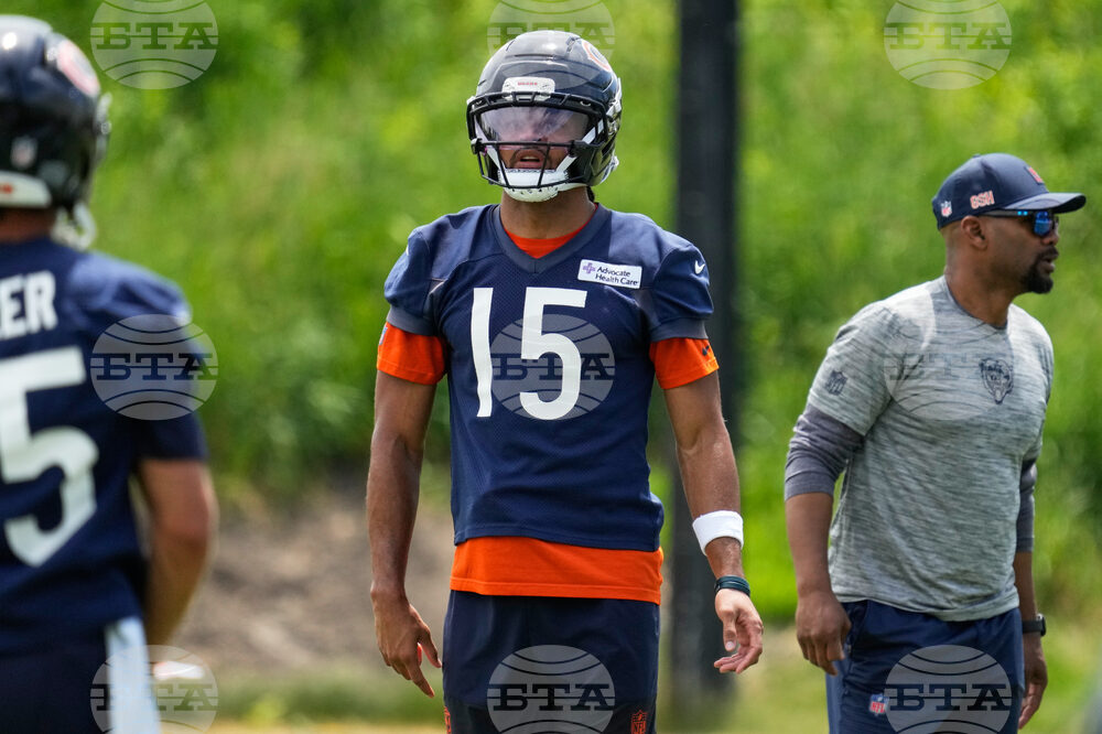 Bears Football