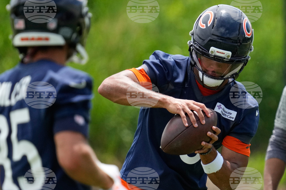 Bears Football