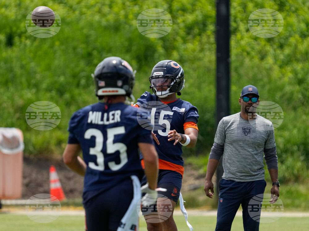 Bears Football
