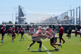 49ers Football