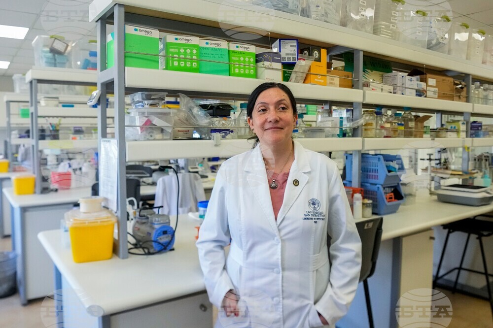 Chile Hantavirus Research