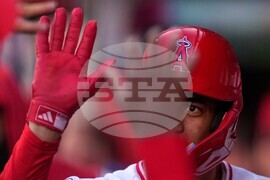 Rockies Angels Baseball
