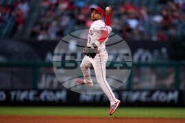 Rockies Angels Baseball