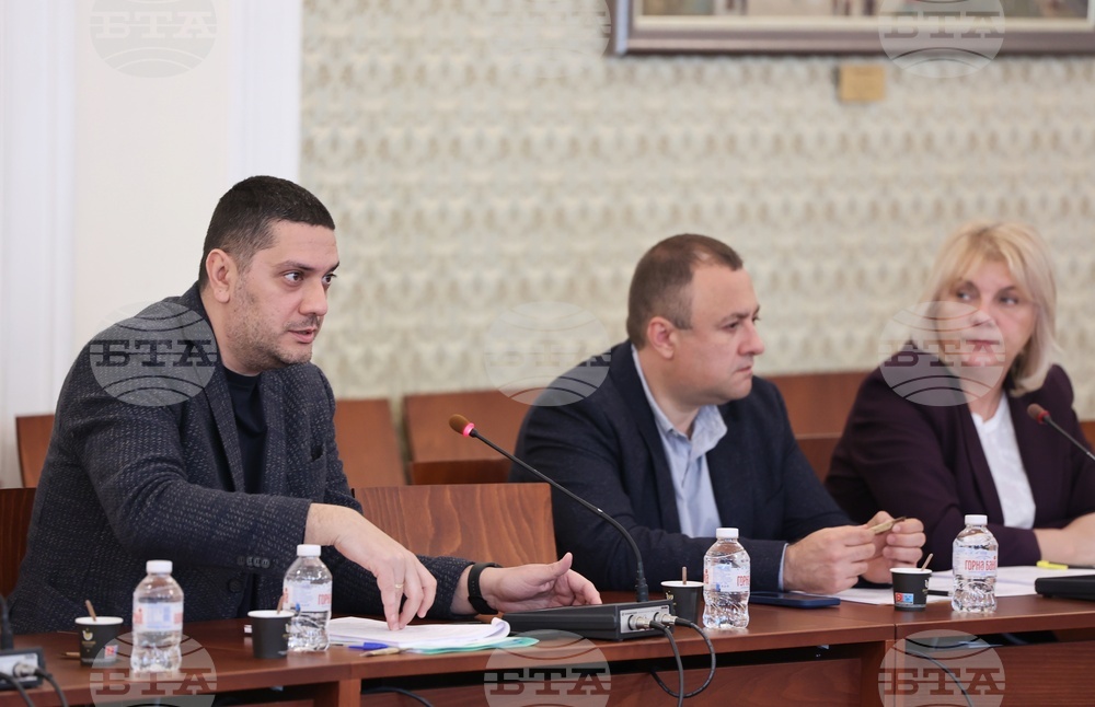 Парламент - Временна комисия за изработване на правилник на Народното събрание
