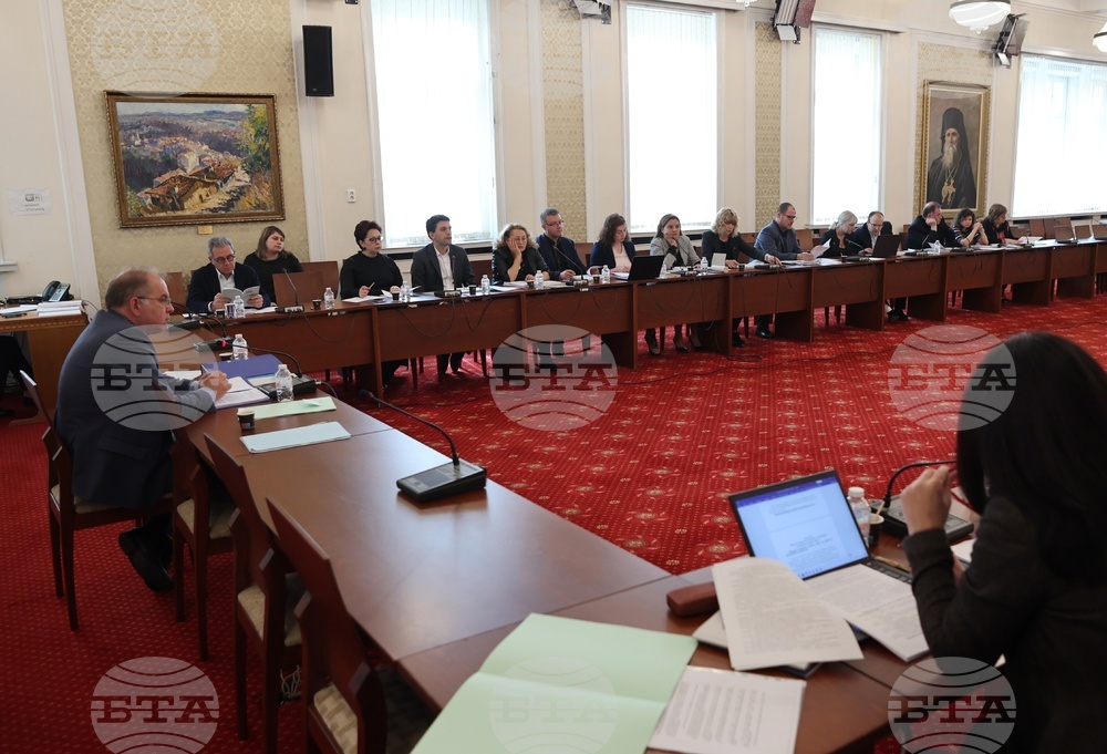 Парламент - Временна комисия за изработване на правилник на Народното събрание