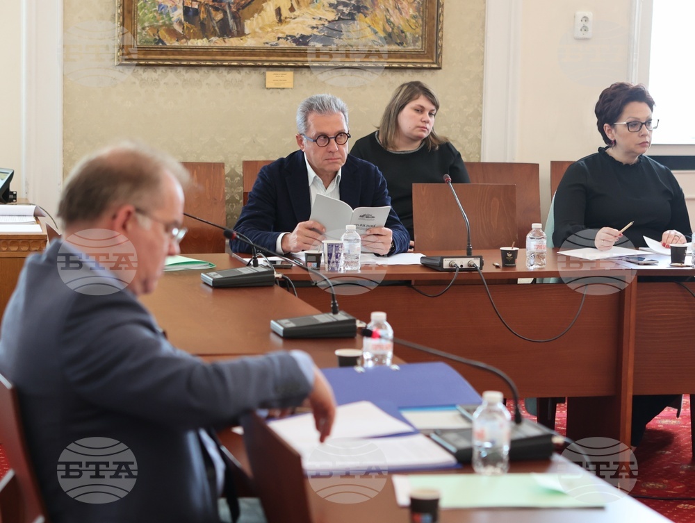 Парламент - Временна комисия за изработване на правилник на Народното събрание