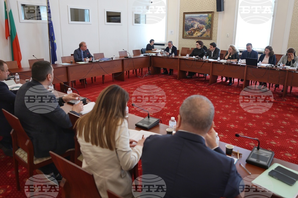 Парламент - Временна комисия за изработване на правилник на Народното събрание