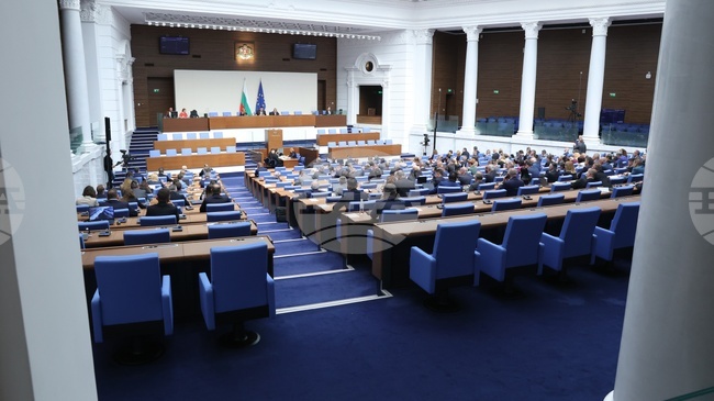 Румяна Петрова от "Прогресивна България" е председател на Комисията по енергетика