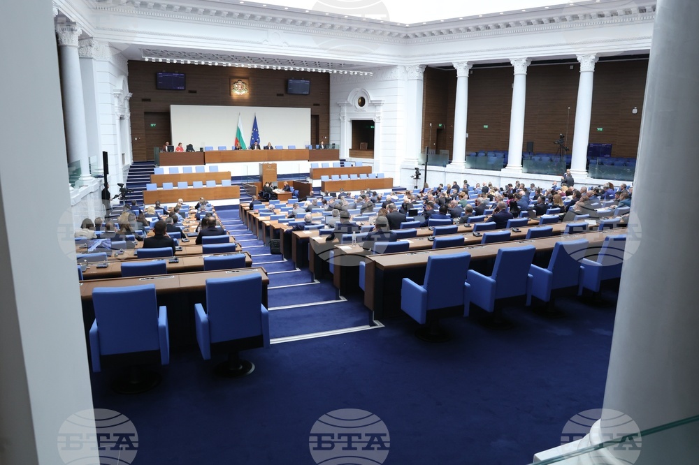 Румяна Петрова от "Прогресивна България" е председател на Комисията по енергетика
