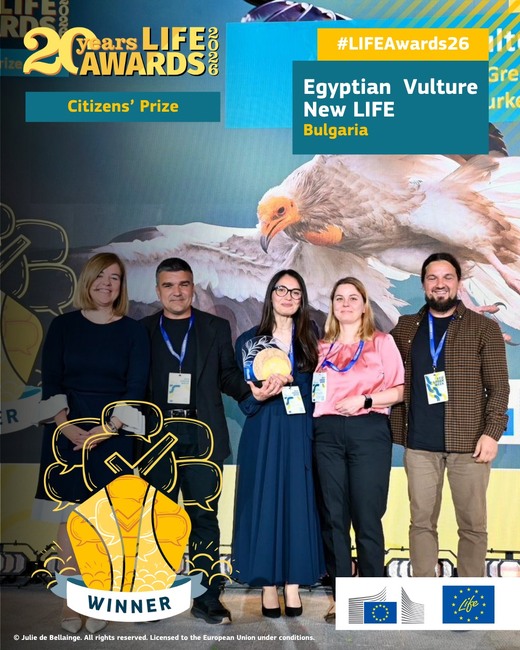 Egyptian Vulture Conservation Project with Bulgarian Participation Wins LIFE Awards Citizens' Prize