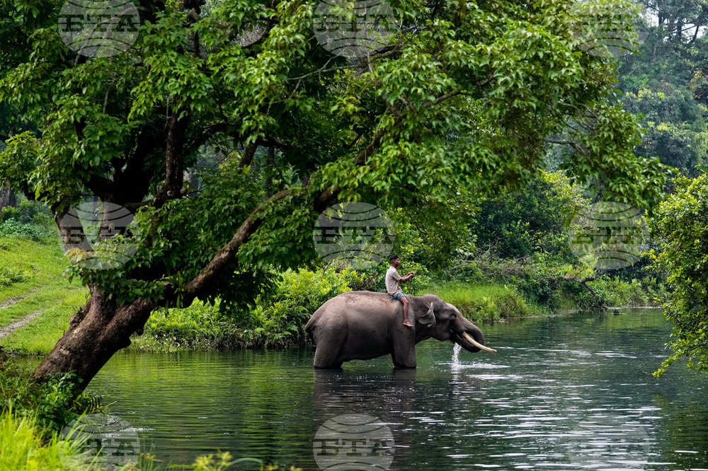 India Wildlife