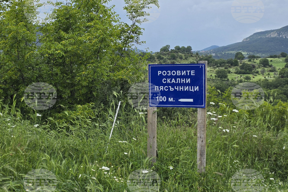 Село Царевец - Розови пирамиди - проучване