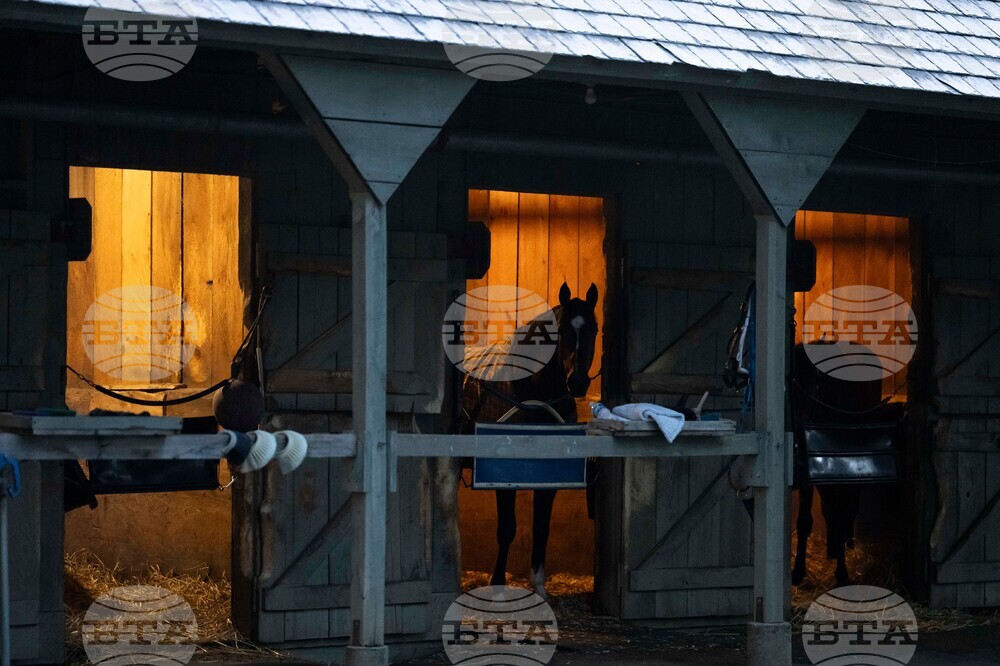 Belmont Stakes Horse Racing
