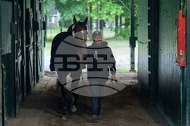 Belmont Stakes Horse Racing