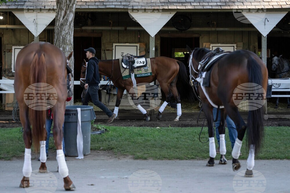 Belmont Stakes Horse Racing