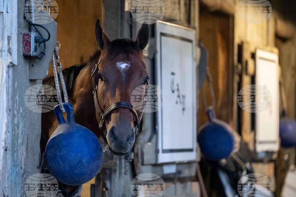 Belmont Stakes Horse Racing