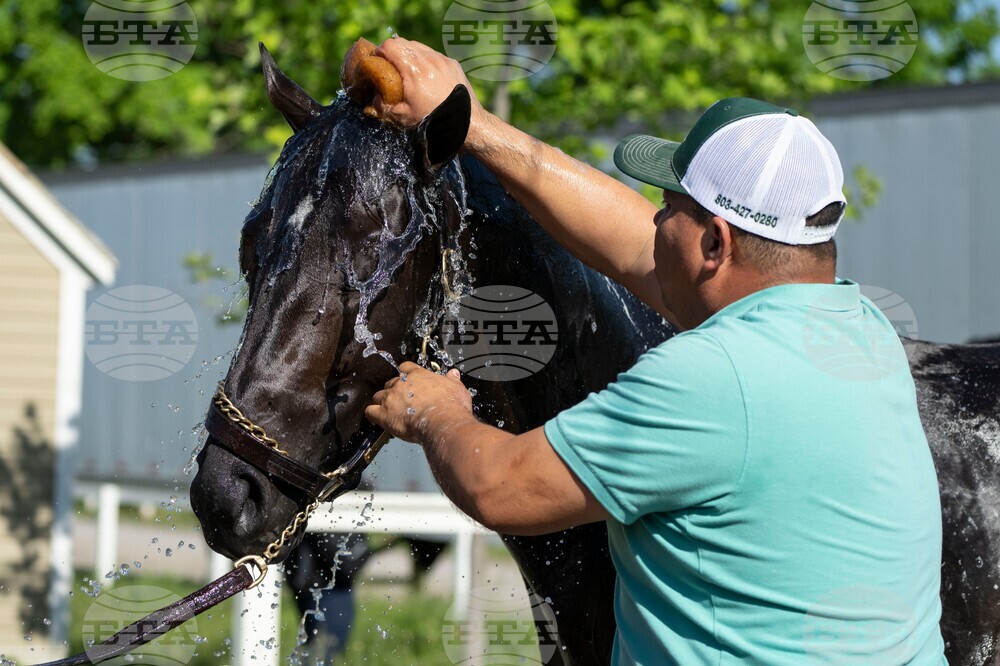 Belmont Stakes Horse Racing