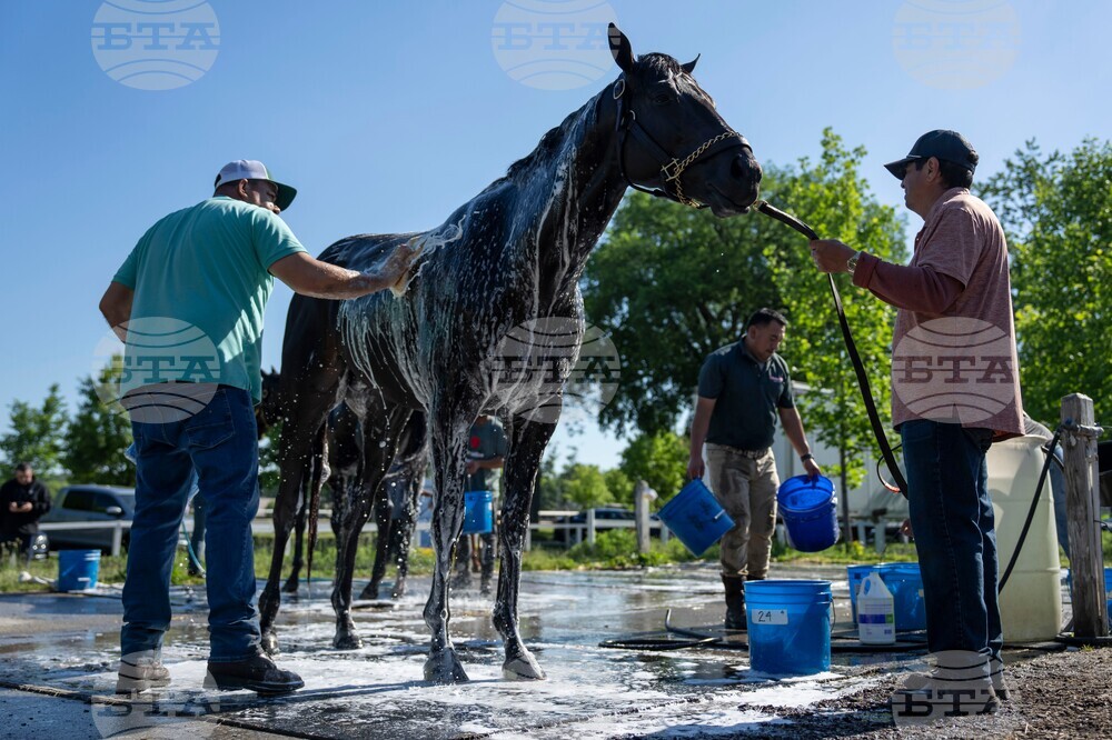 Belmont Stakes Horse Racing