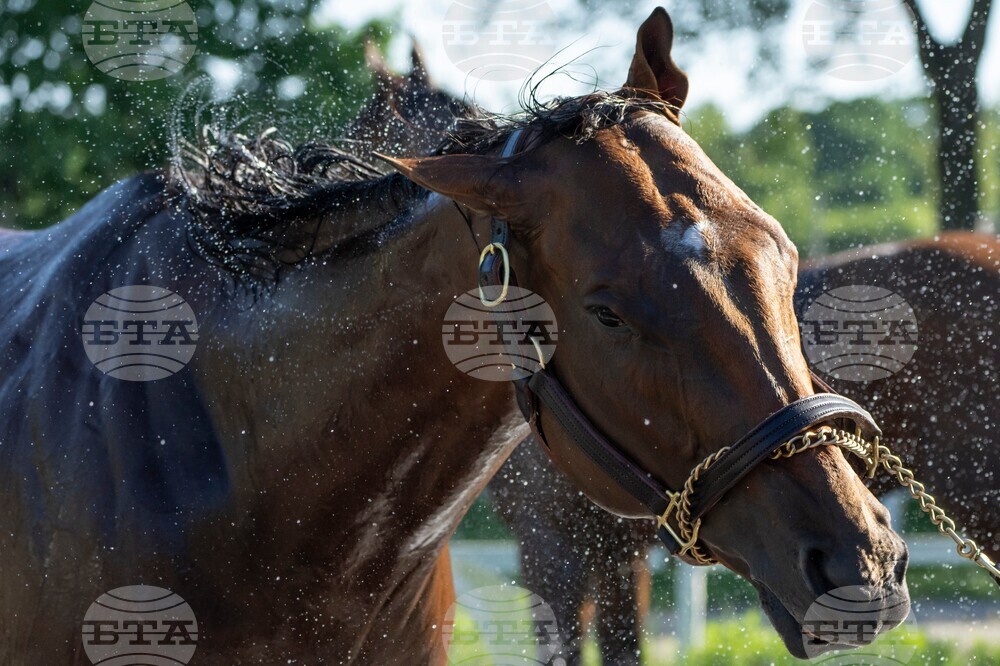 Belmont Stakes Horse Racing