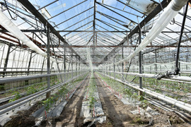 Пловдив - Национален Демо Център за дигитални решения в земеделието