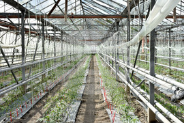 Пловдив - Национален Демо Център за дигитални решения в земеделието