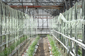 Пловдив - Национален Демо Център за дигитални решения в земеделието