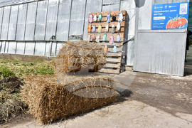 Пловдив - Национален Демо Център за дигитални решения в земеделието