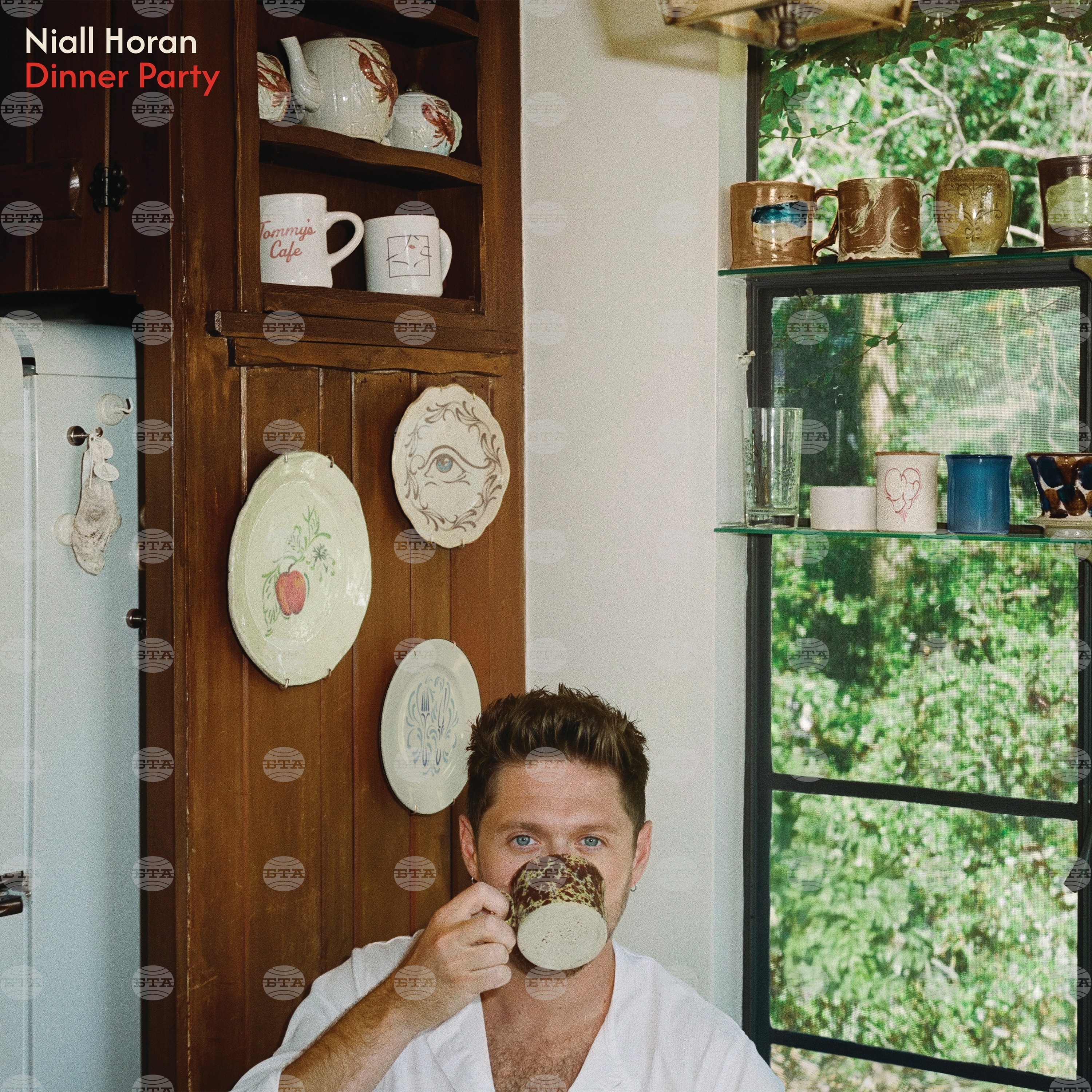 Music Review - Niall Horan