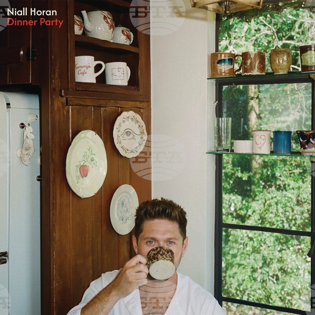 Music Review - Niall Horan