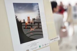 Ямбол - конкурс за детска и младежка фотография „Стоян Киров“