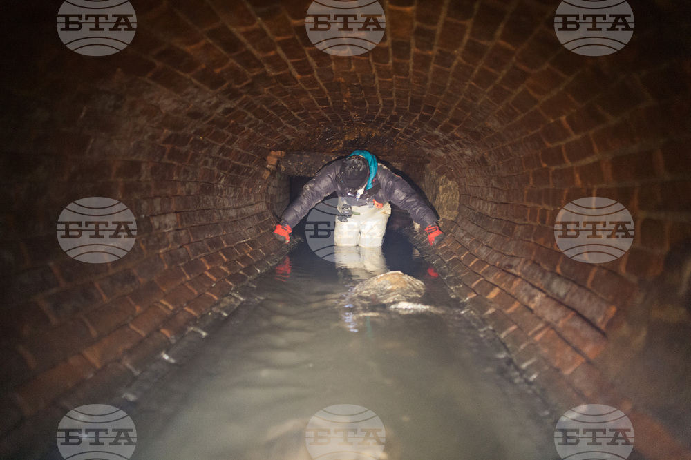 Brooklyn Sewer Mystery