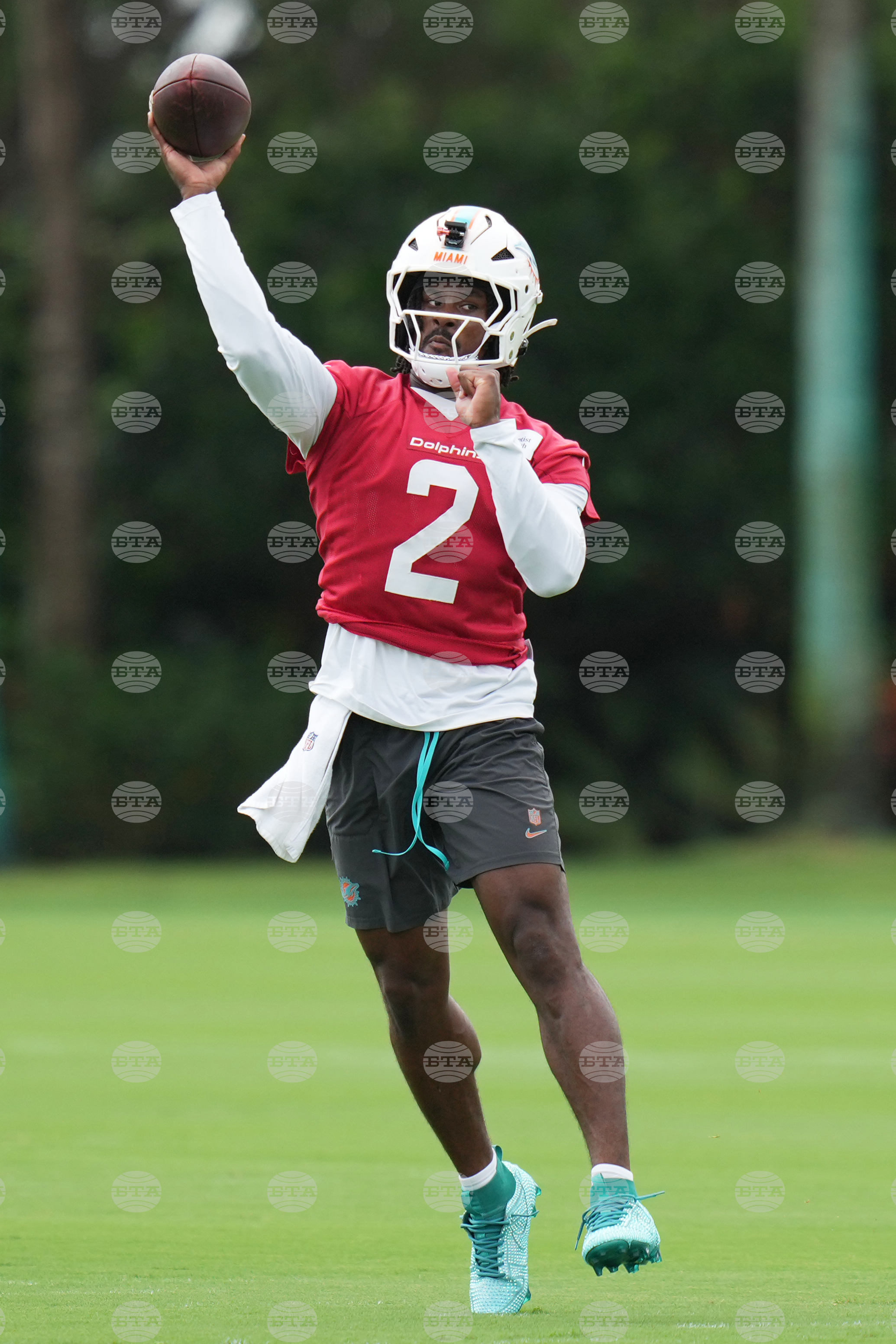 Dolphins Football