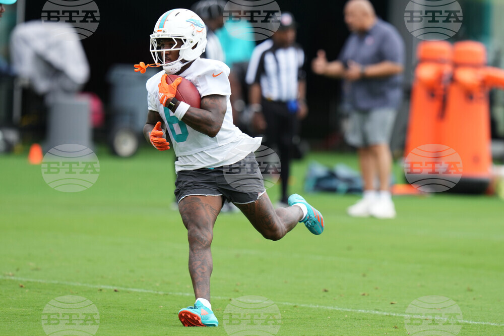 Dolphins Football
