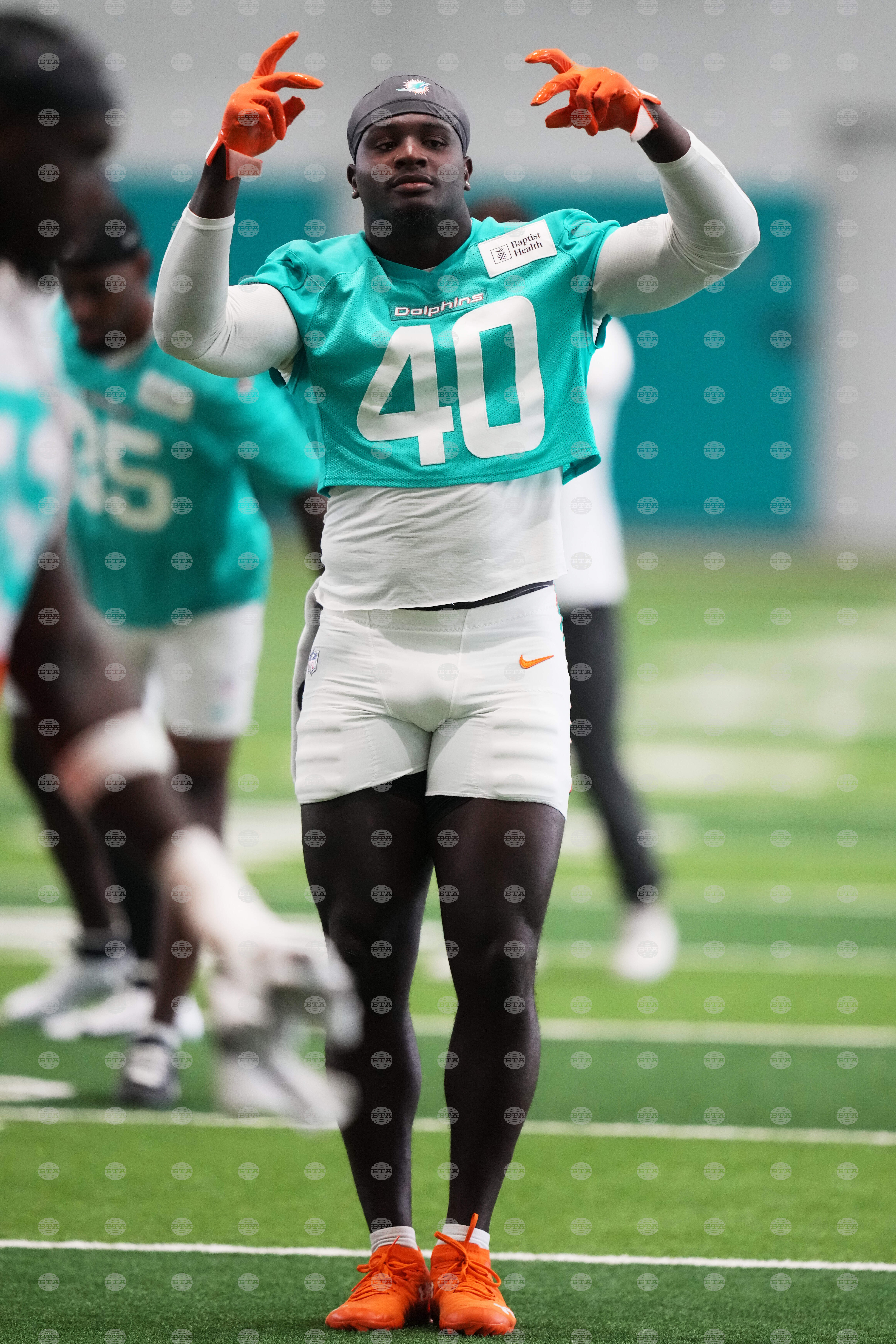 Dolphins Football