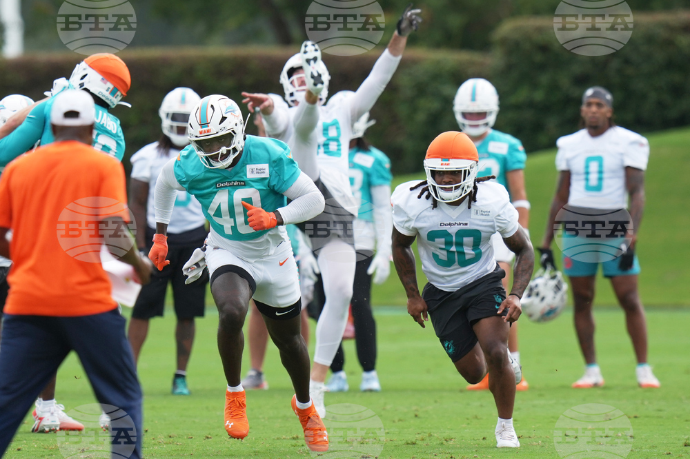 Dolphins Football