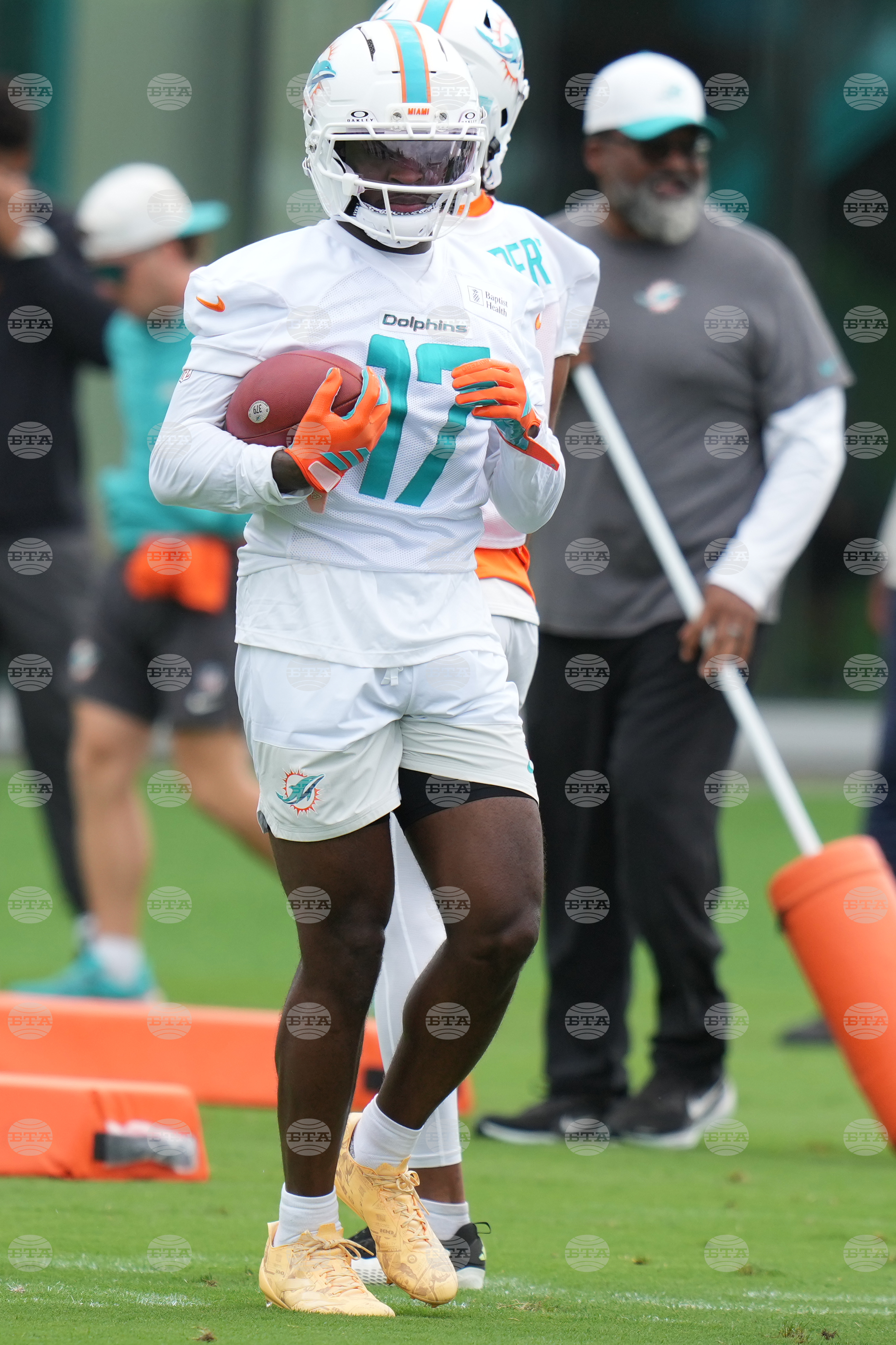 Dolphins Football