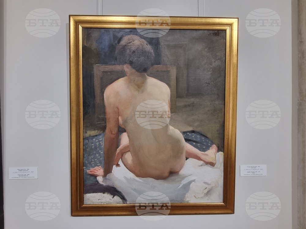 Велико Търново - Художествена галерия „Борис Денев“ - Художествена галерия - Добрич - изложба