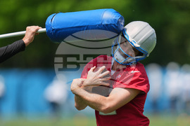 Lions Football