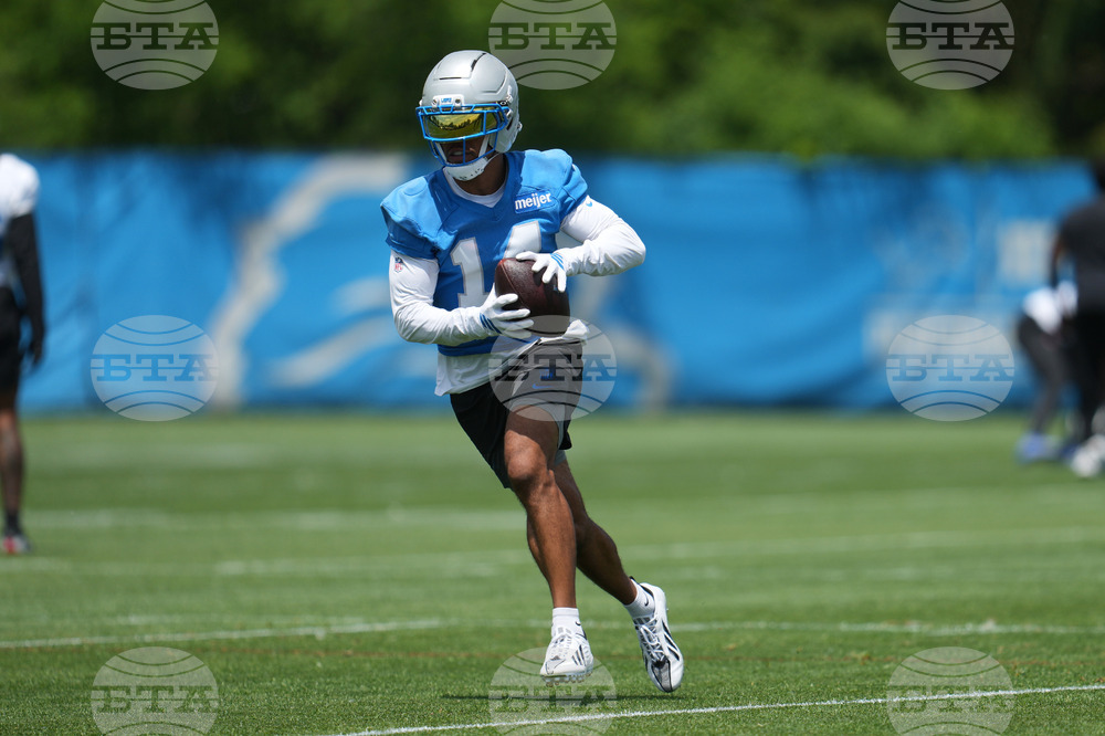 Lions Football
