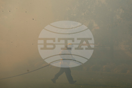 Climate Wildfires Smog Levels