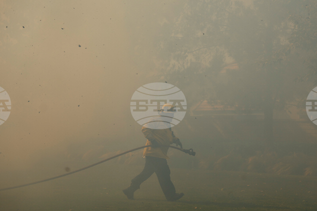 Climate Wildfires Smog Levels