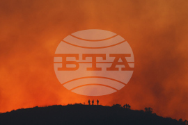 Climate Wildfires Smog Levels