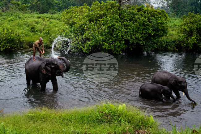 APTOPIX India Wildlife