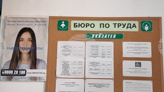Общо 12 работни места за специалисти с висше образование са обявени в Бюрото по труда в Сливен